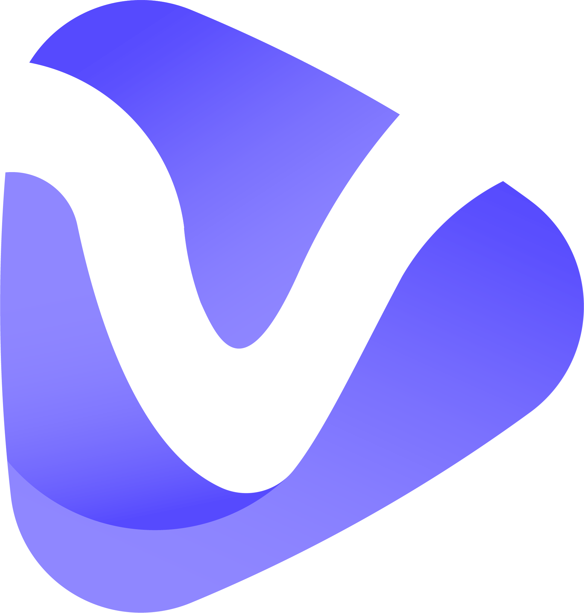 Vidnoz Logo